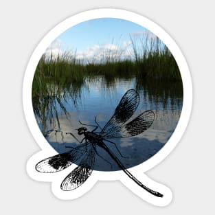 Dragonfly Sticker